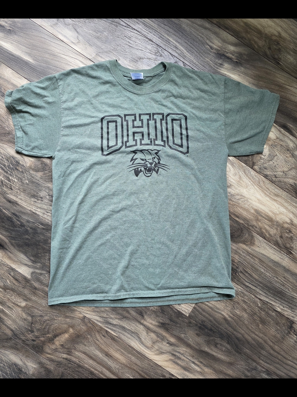 Vintage Gildan Heather Green 'OHIO' Short Sleeve Tee with Mascot